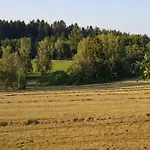 Feriegård Loew Salzweg