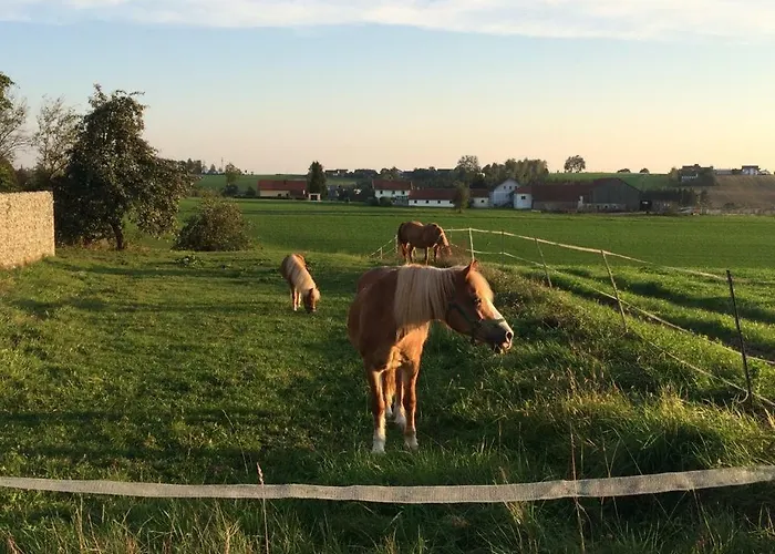 Loew Salzweg