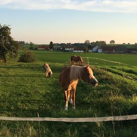 Loew Salzweg