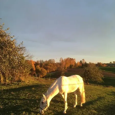 Farm stay Loew Salzweg