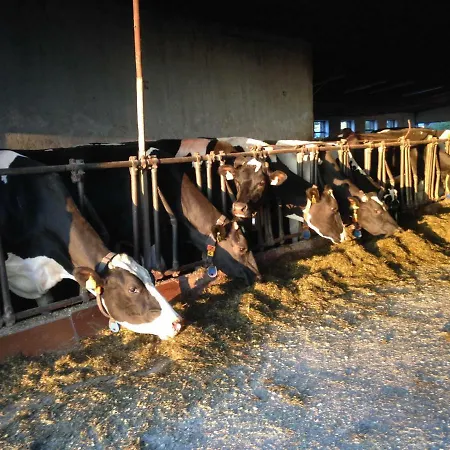 Farma Loew Salzweg