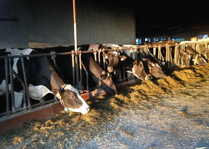 Farma Loew Salzweg